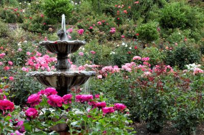 Circulate Water in Your Pond, Fountain, or Water Feature!