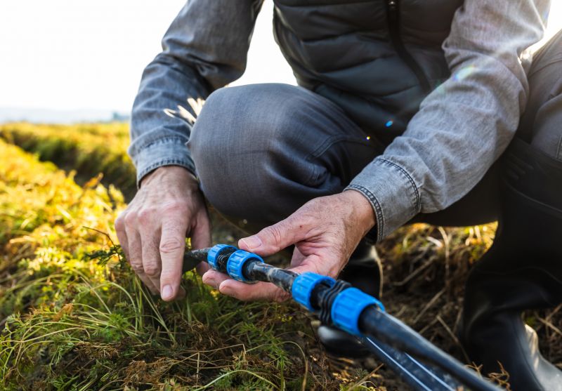 Impeller Replacement